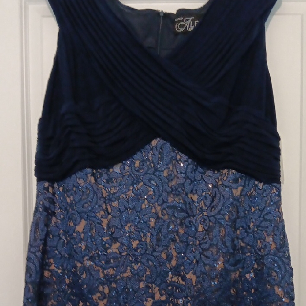 Alex Evenings Navy and Blue Lace Midi Dress